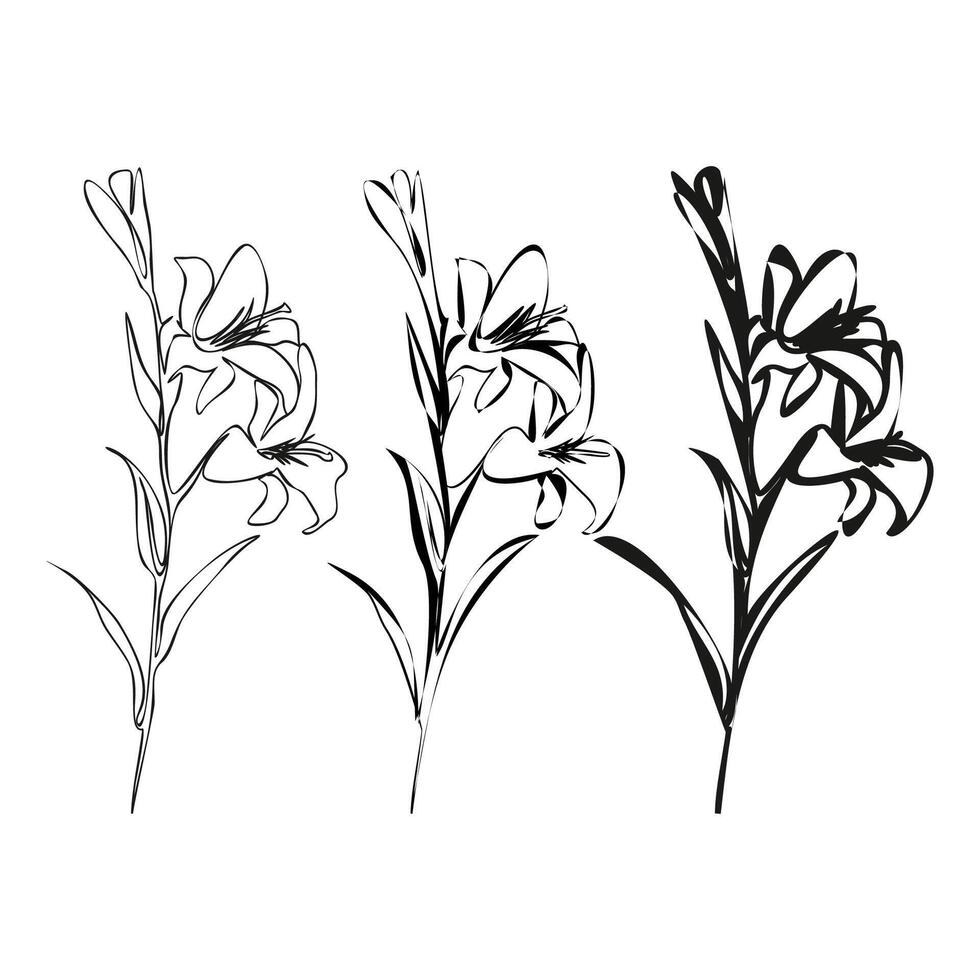 Set of Lily Line Drawing. Black and white Floral Bouquets. Flower Coloring Page. Floral Line Art. vector
