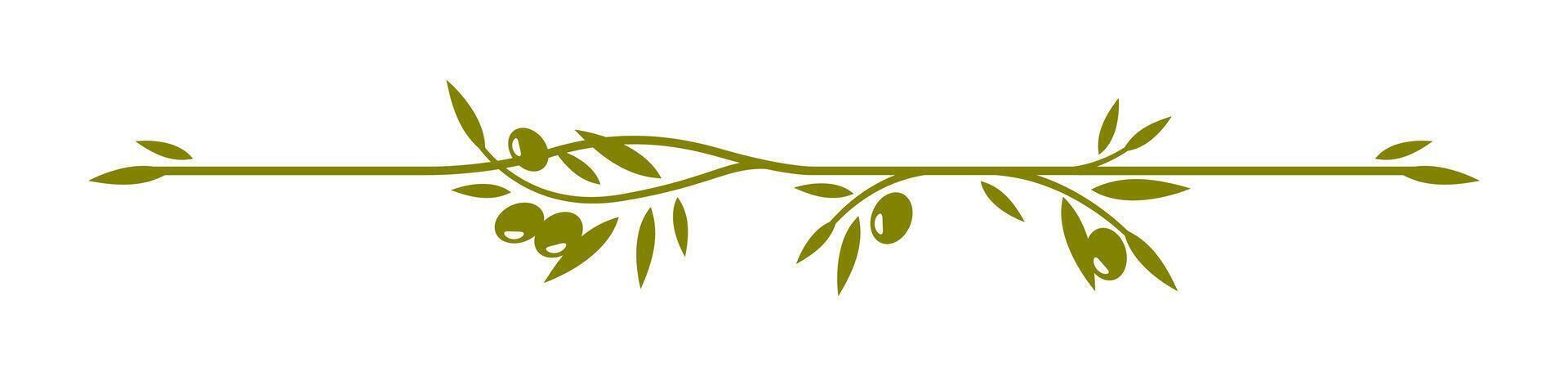 Olive leaves divider, branch with olive leaves vector