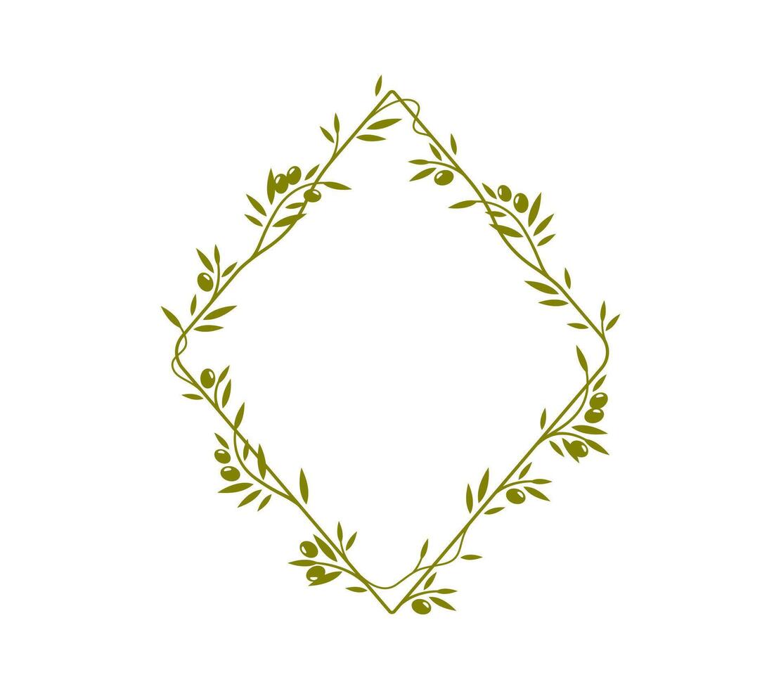 Olive tree branch frame or leaves divider border vector