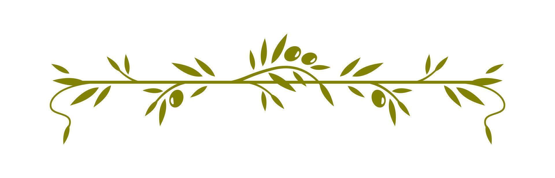 Olive leaves frame divider, border or boarder vector