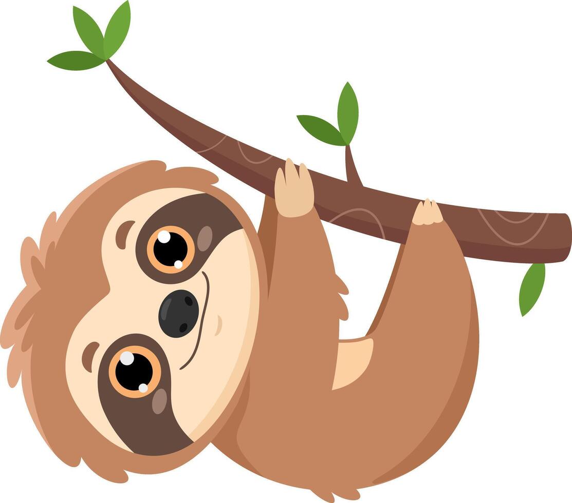 Happy Cute Sloth Cartoon Character Lazy Hanging On A Tree Branch vector