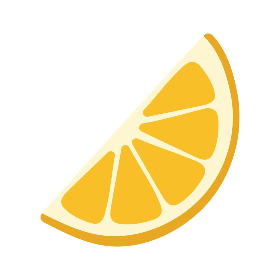 Hand drawn citrus slice isolated on white background vector