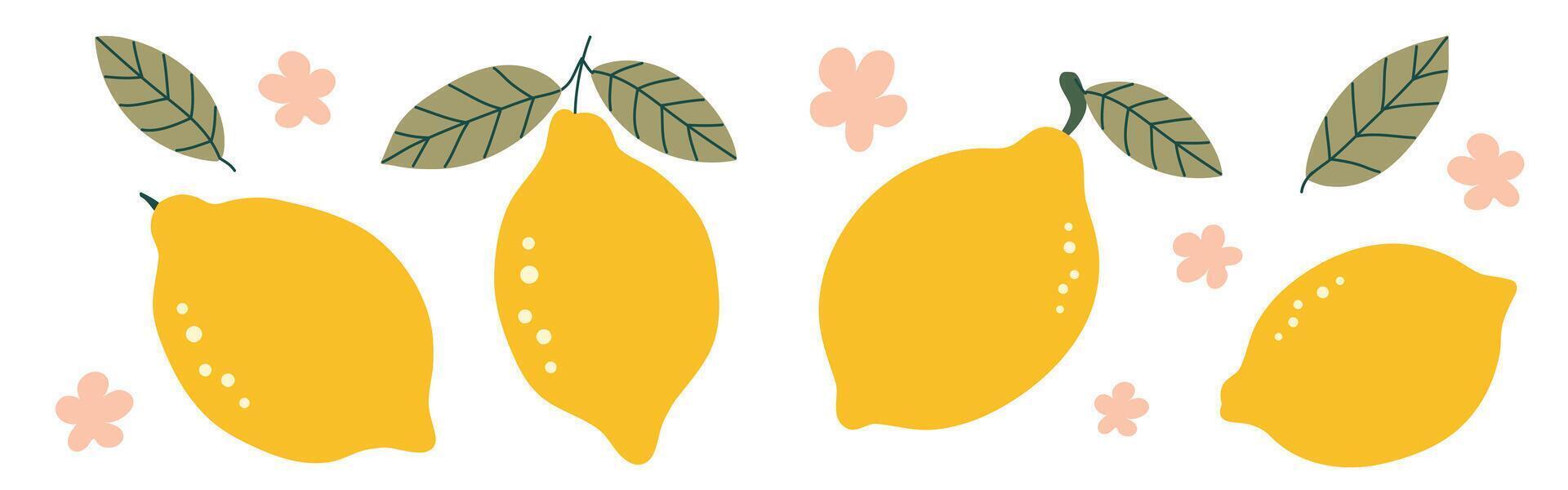 Hand drawn citrus set with lemons and leaves isolated on white background vector