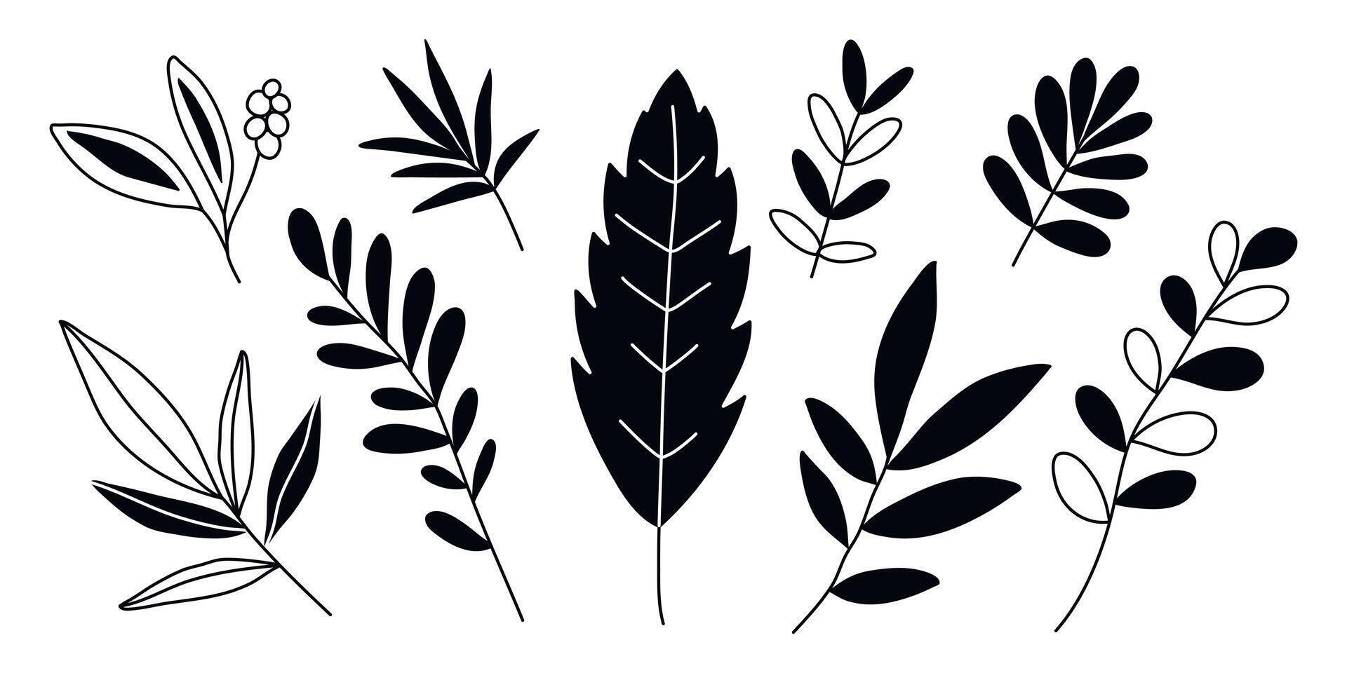 Hand drawn doodle tropical leaves set isolated on white background vector