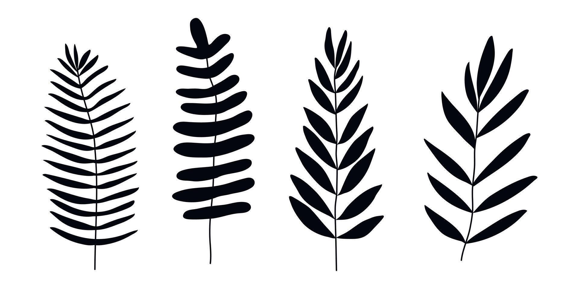 Hand drawn doodle tropical leaves set isolated on white background vector