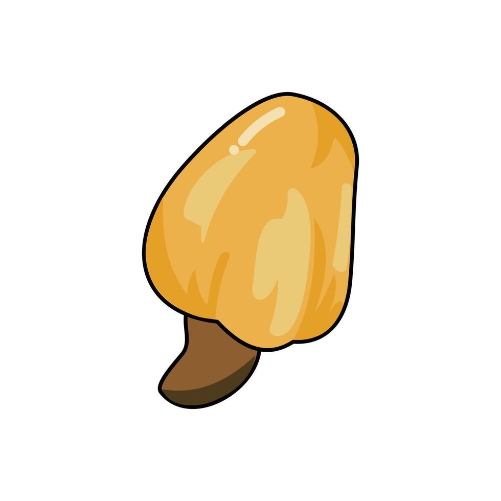 Cashew fruit icon. Yellow cashew fruit icon cartoon illustration for web design and other purposes. Design illustration elements with fruit theme vector