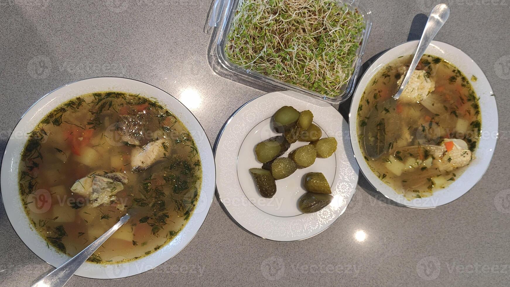 Warm soup with potatoes, vegetables, and herbs served with pickles photo