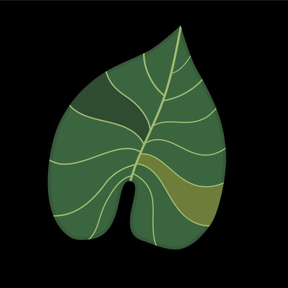 Biomorphism of leaf simple vector