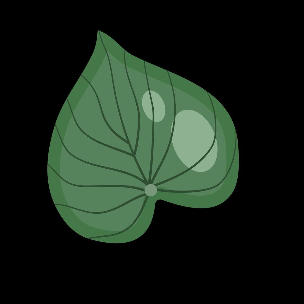 Leaf detail simple vector