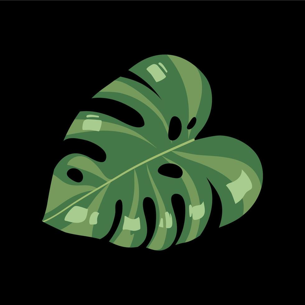 Leaf of monstera Deliciousa king vector