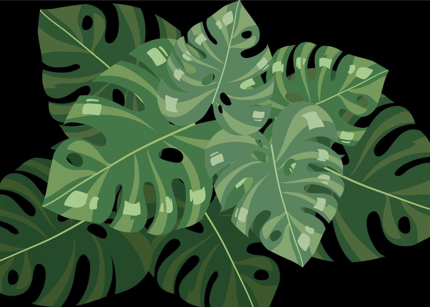 Monstera Deliciousa king leaf vector