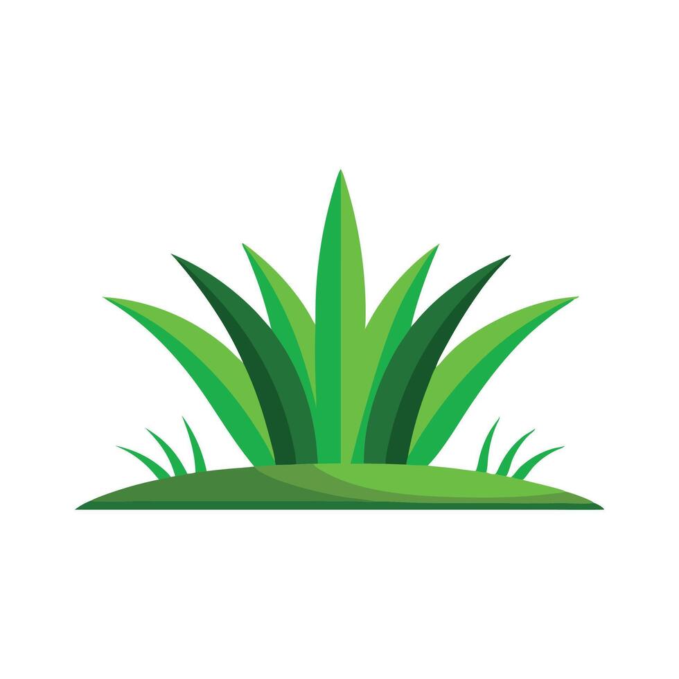 Grass plant isolated flat illustration on white background. vector