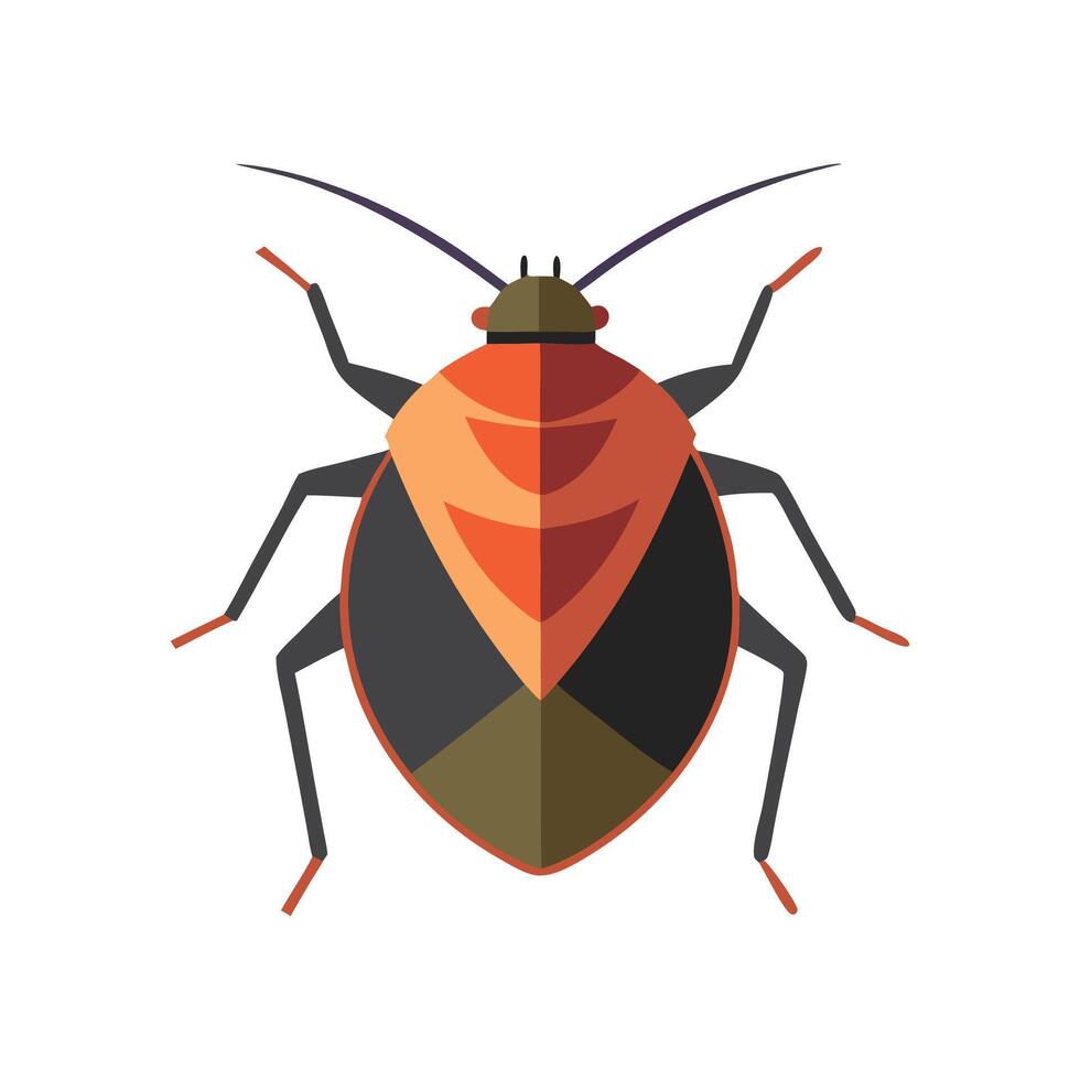 Stink Bug insect isolated flat illustration white background vector