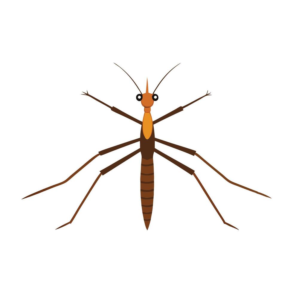 Stick Insect insect isolated flat illustration white background vector