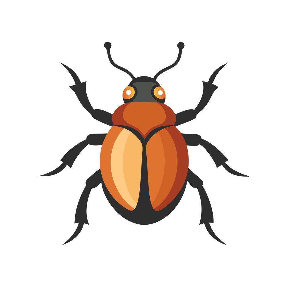 Boll Weevil insect isolated flat illustration white background. vector