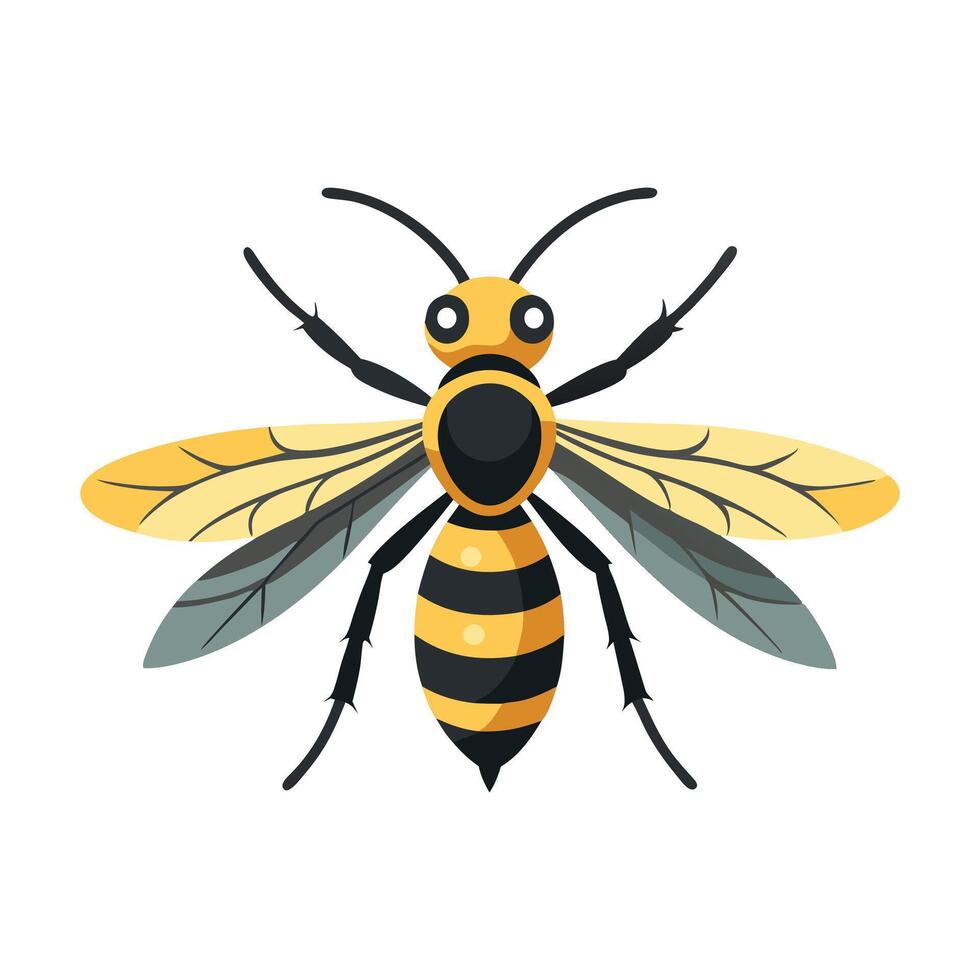 Wasp insect isolated flat illustration white background vector