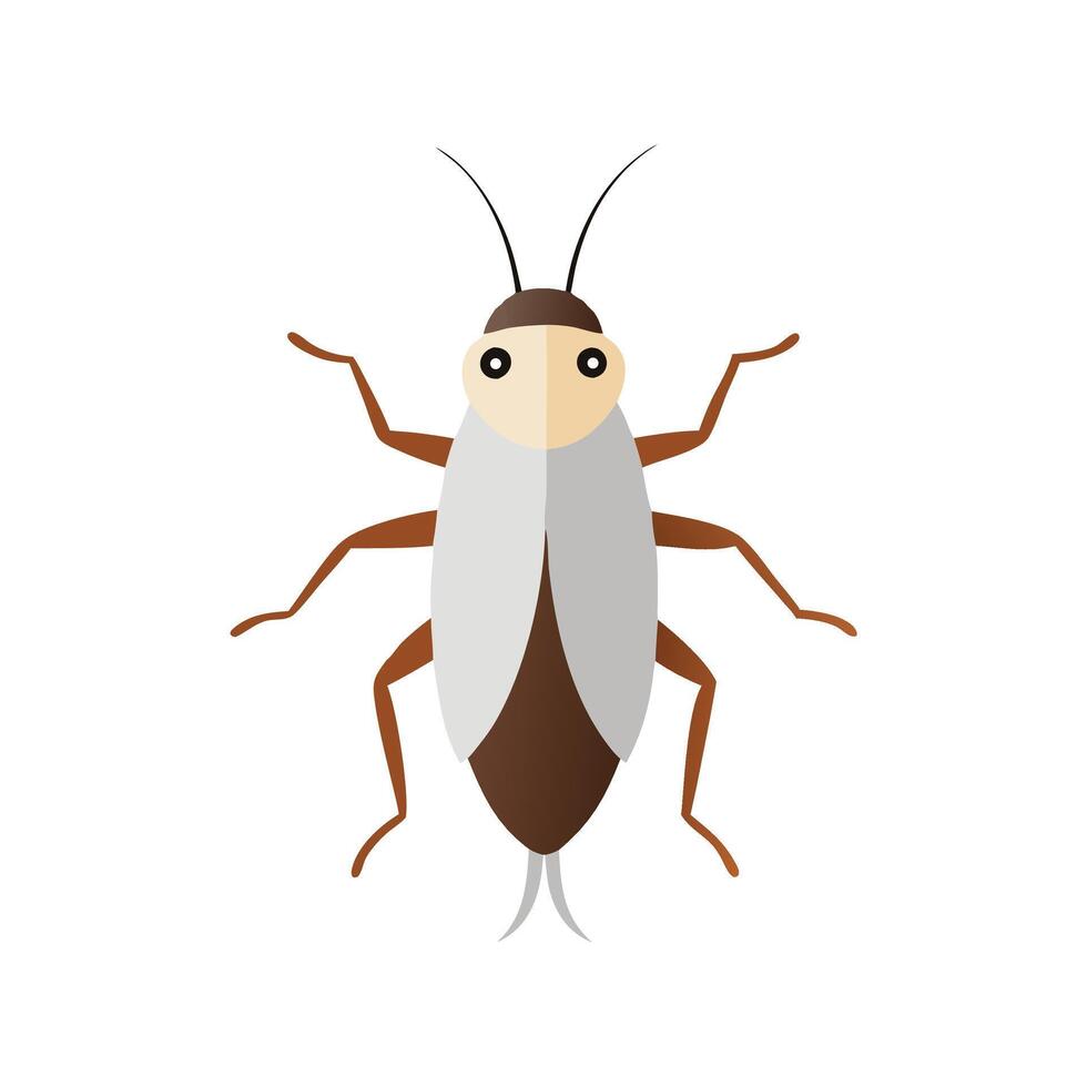 Cockroach Nymph insect isolated flat illustration white background. vector