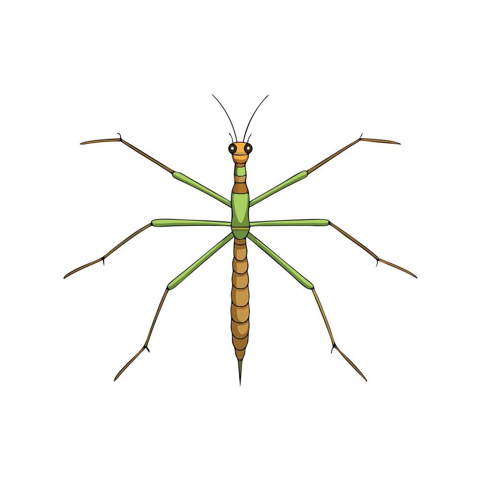 Stick insect isolated flat illustration white background vector