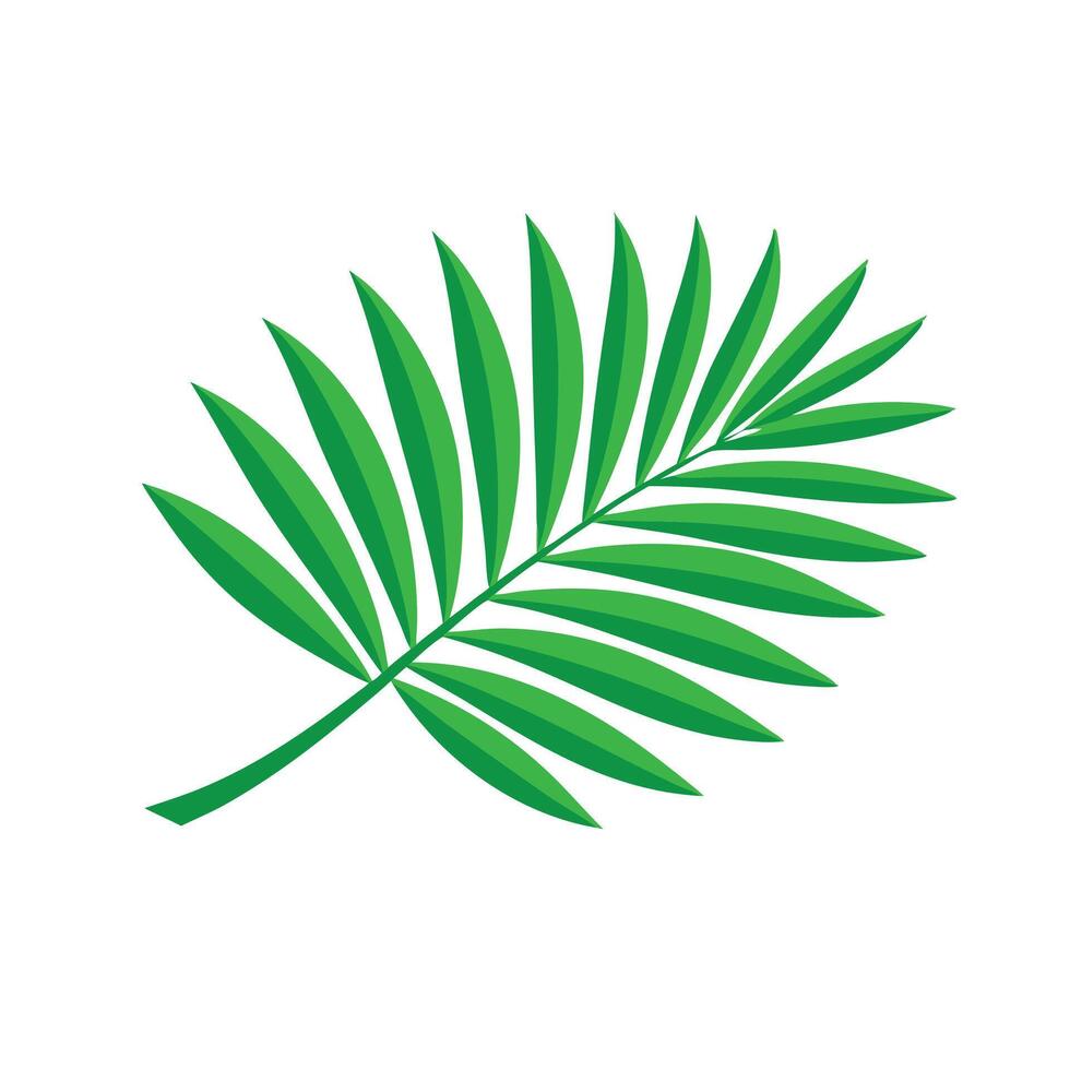 Palm leaf, showcasing its vibrant green color and intricate vein patterns isolated flat illustration on white background. vector