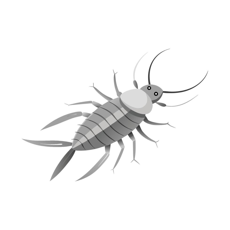 Silverfish insect isolated flat illustration white background vector