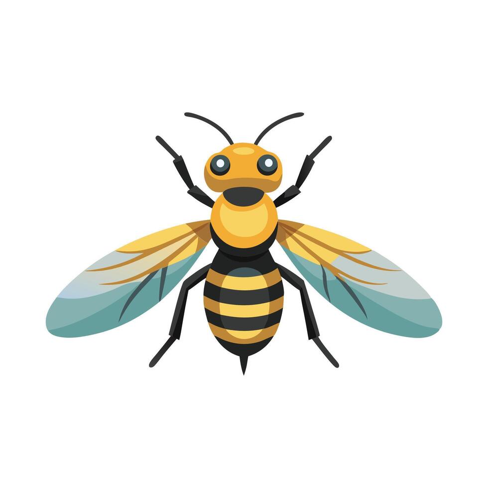 Hoverfly insect isolated flat illustration white background vector