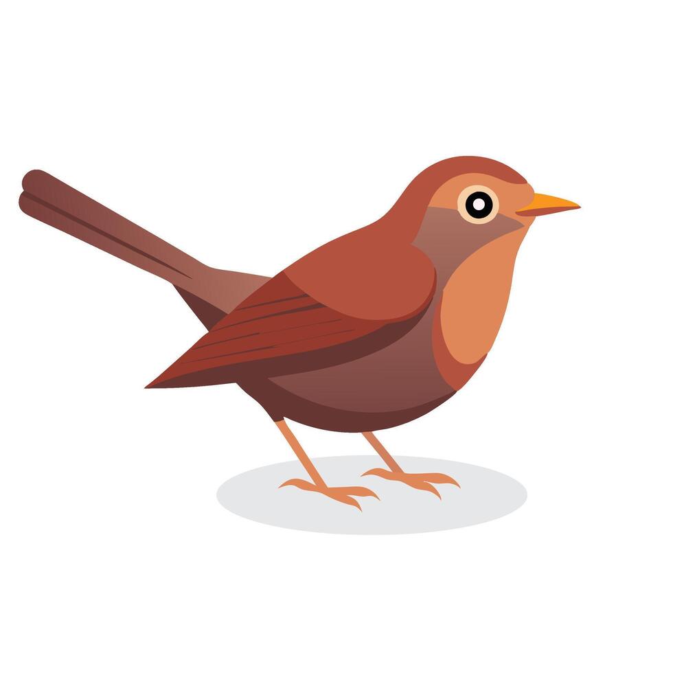 Nightingale bird isolated flat illustration on white background vector