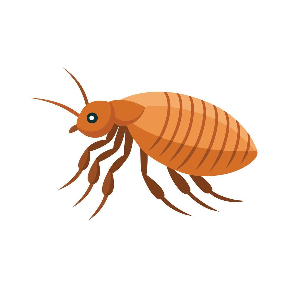 Flea insect isolated flat illustration white background vector