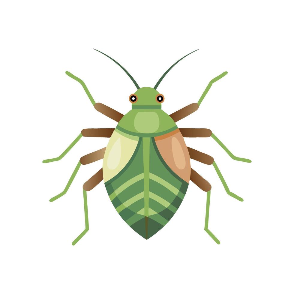 Aphid insect isolated flat illustration white background. vector