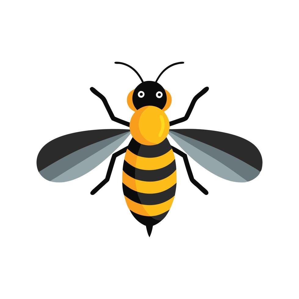 Minimal illustration Hoverfly insect isolated flat illustration white background vector