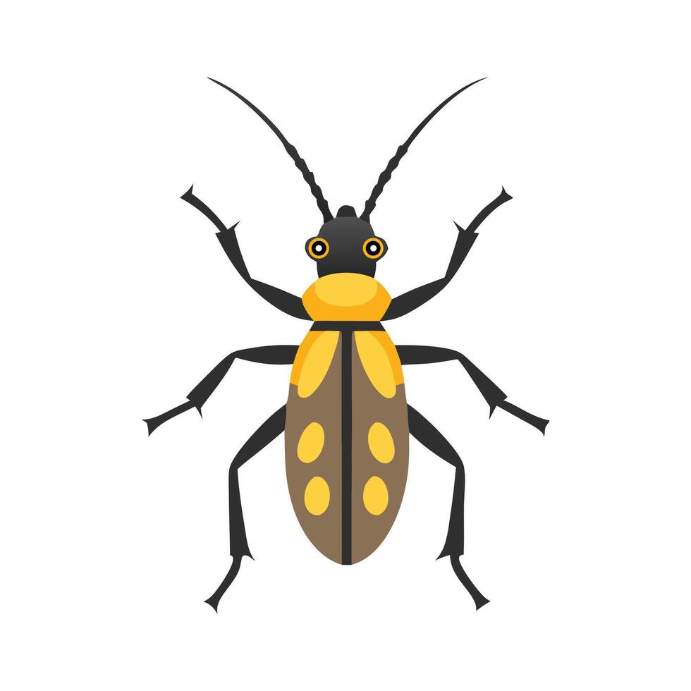 Longhorn Beetle insect isolated flat illustration white background. vector