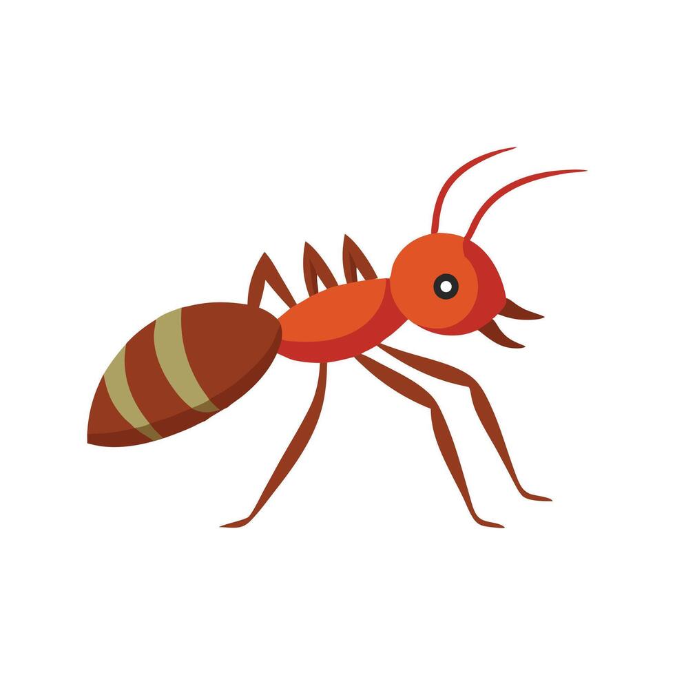 Leafcutter Ant insect isolated flat illustration white background vector