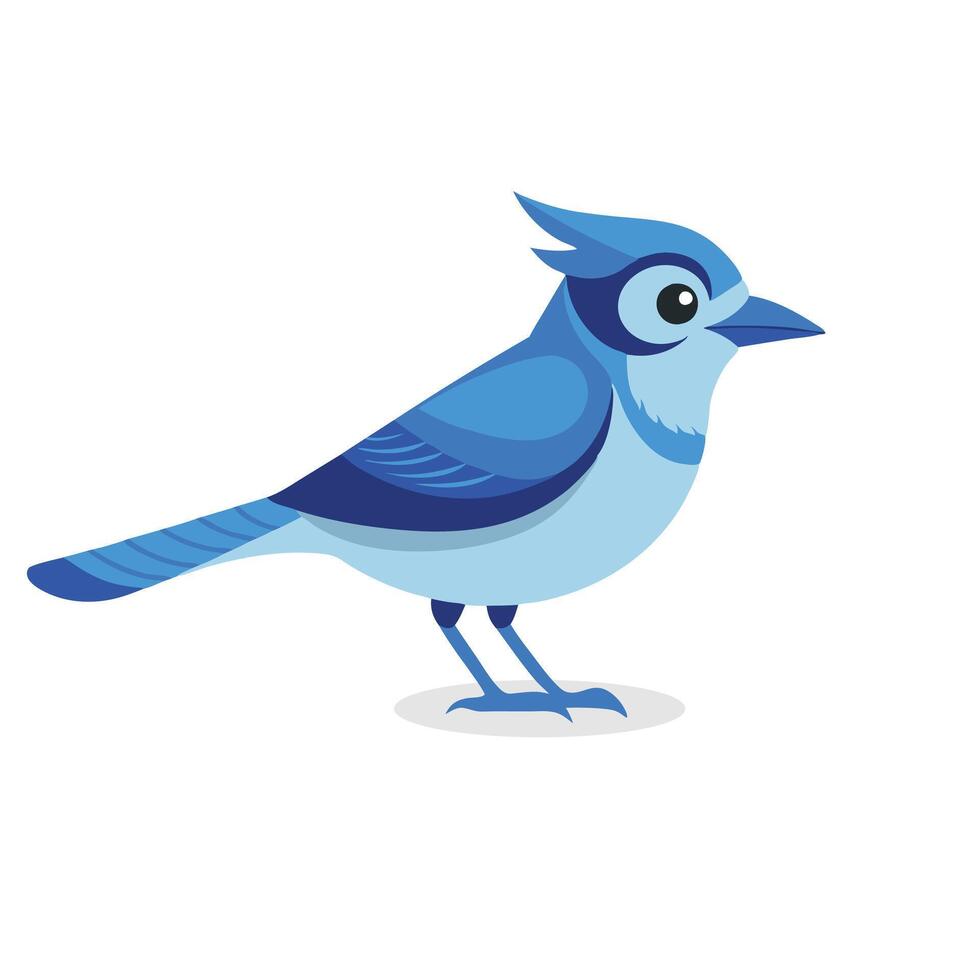 Blue Jay bird isolated flat illustration on white background vector