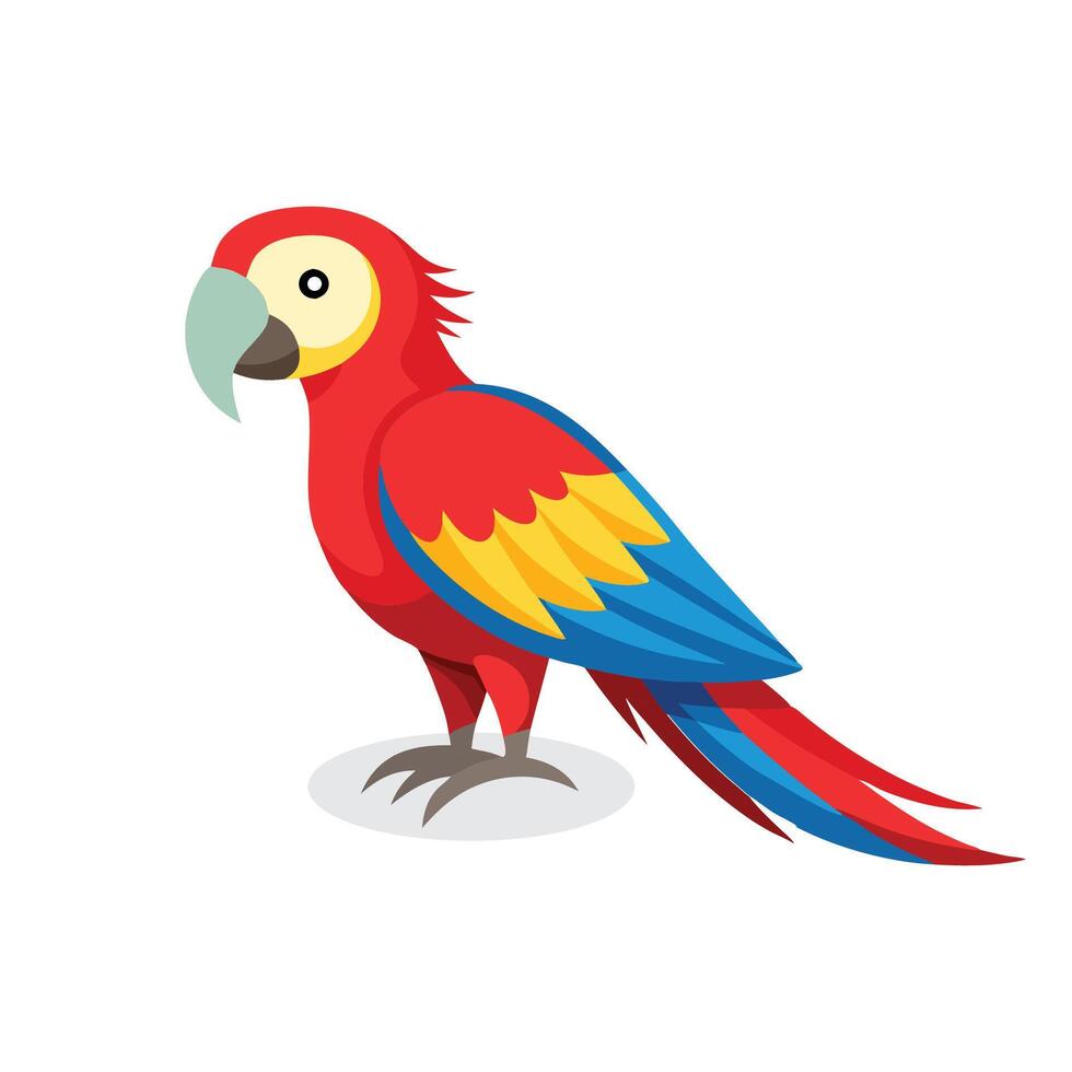Scarlet Macaw bird isolated flat illustration on white background vector