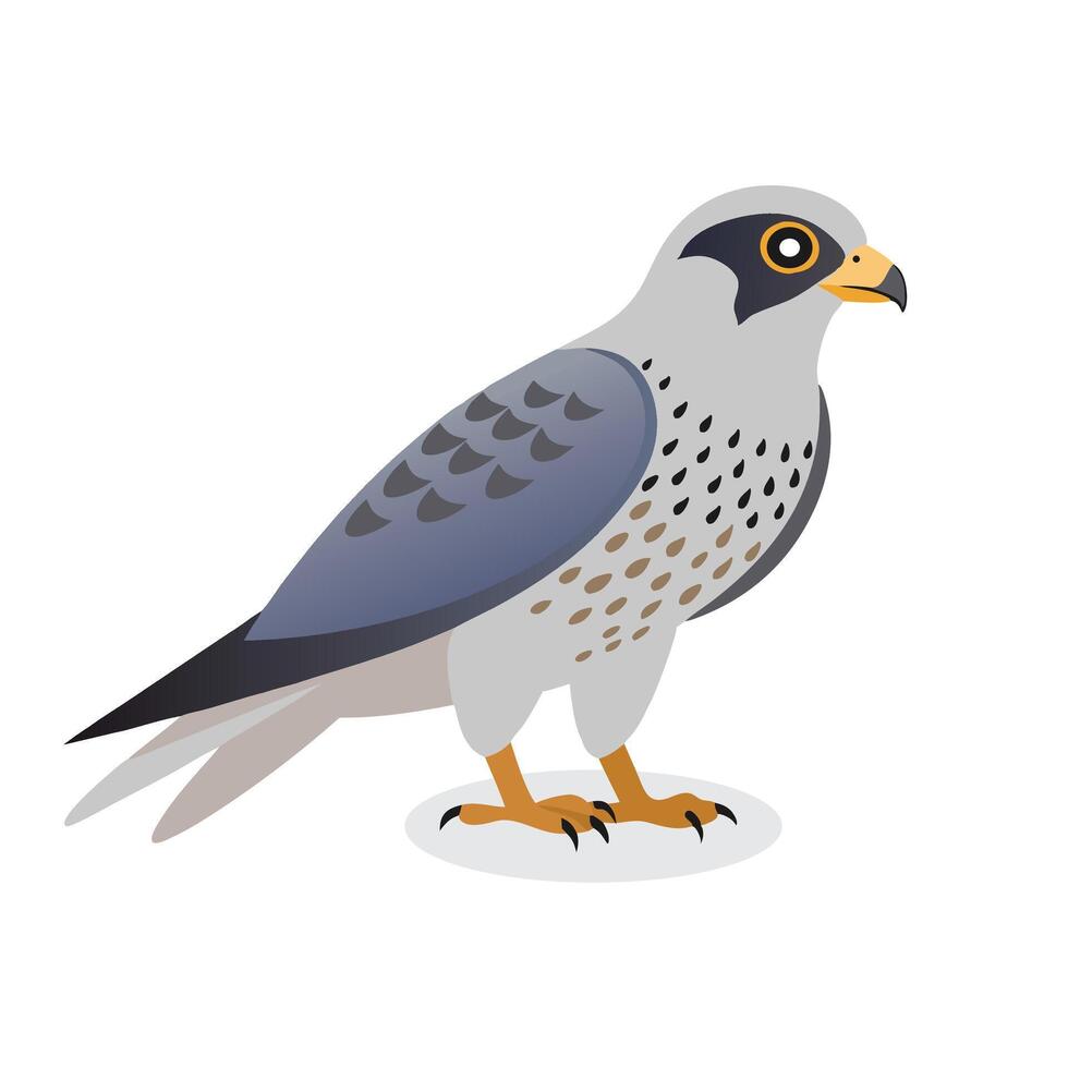 Gyrfalcon bird isolated flat illustration on white background vector