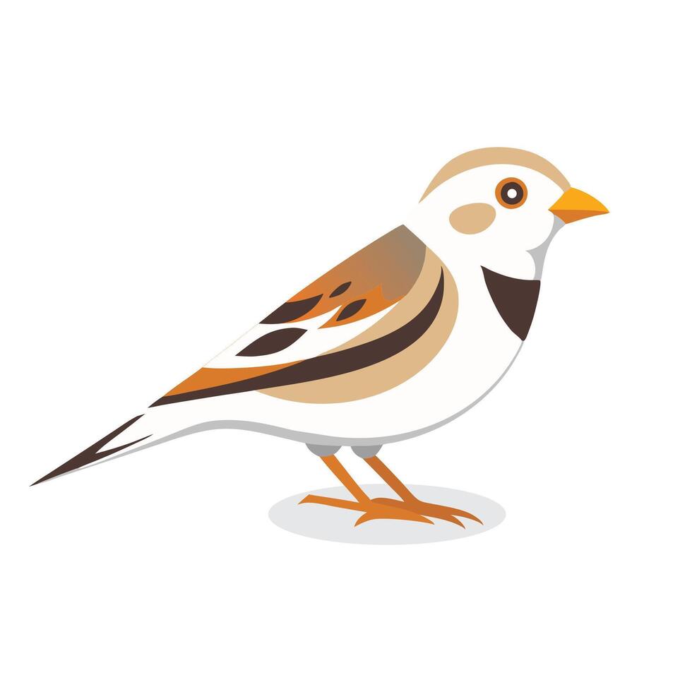 Snow Bunting bird isolated flat illustration on white background. vector