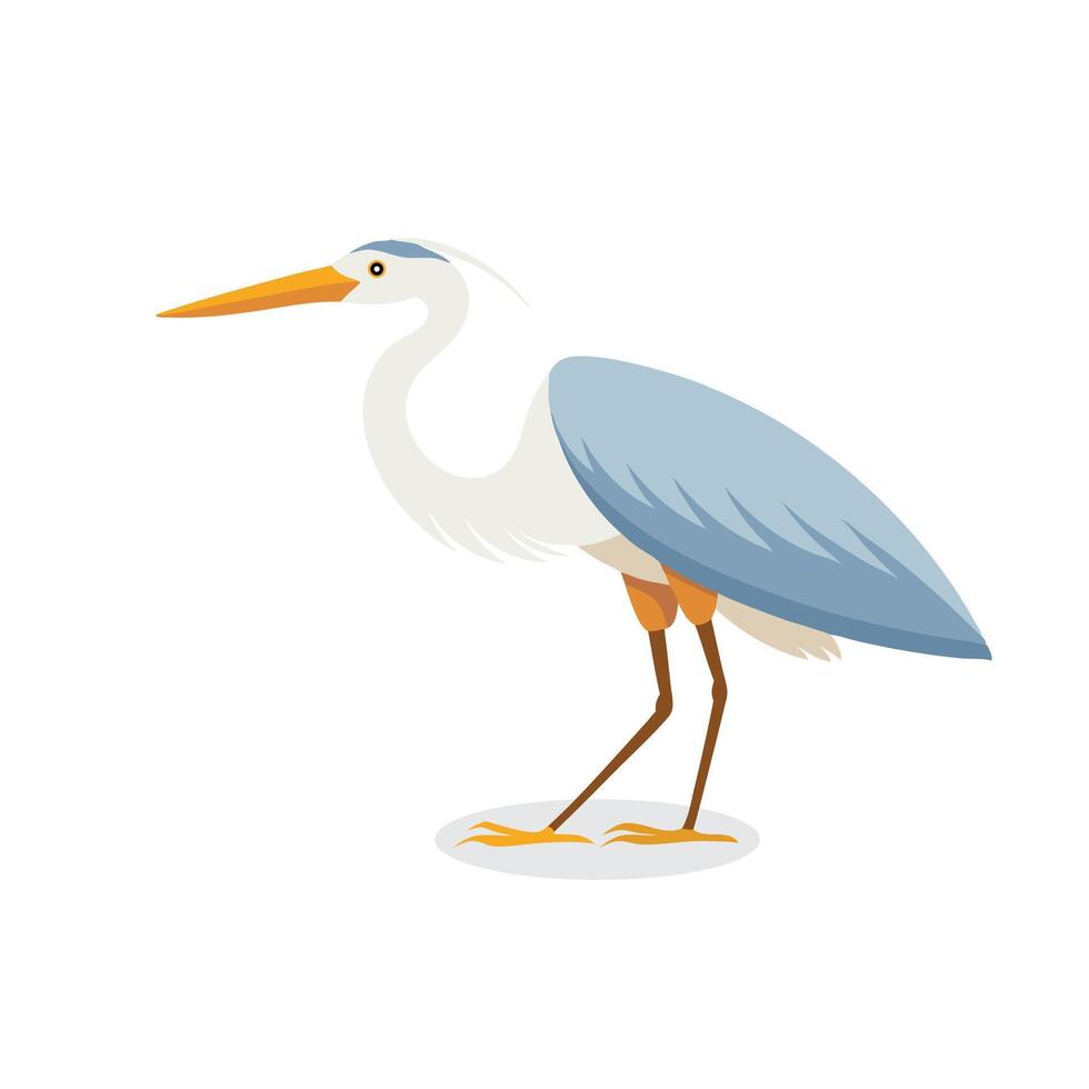Great Egret bird isolated flat illustration on white background vector
