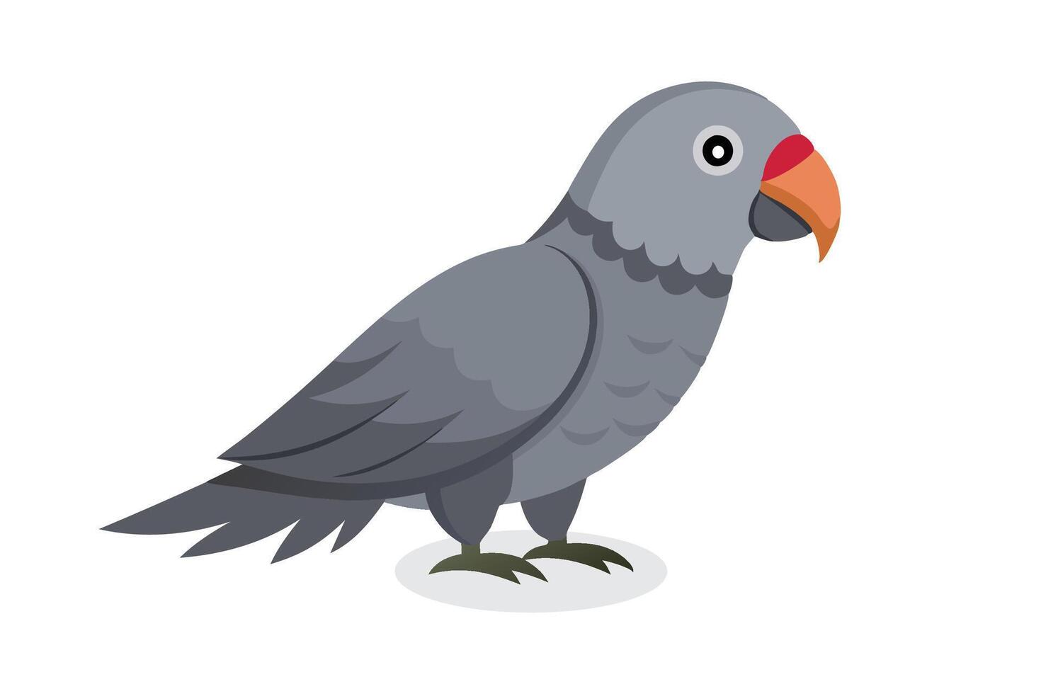 African Grey Parrot bird isolated flat illustration on white background vector
