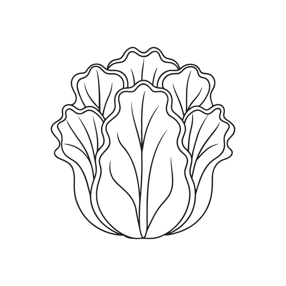 Chinese cabbage continuous line art isolated on white background. vector