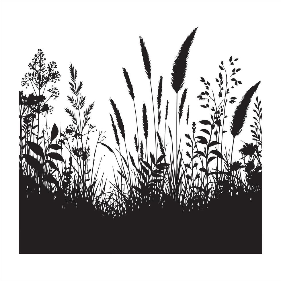 Field with cereals, grass and wild herbs silhouette on white background vector