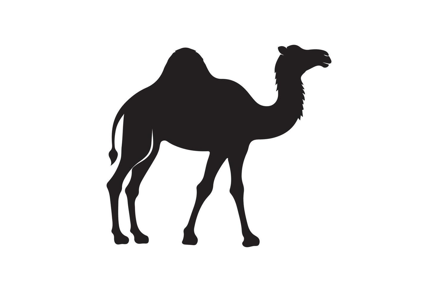 a camel silhouette on a white background vector