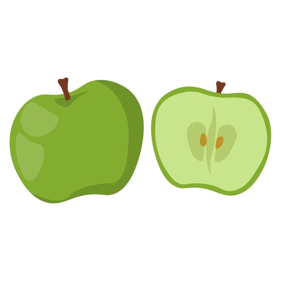Whole and half apple, healthy green fruit for design vector