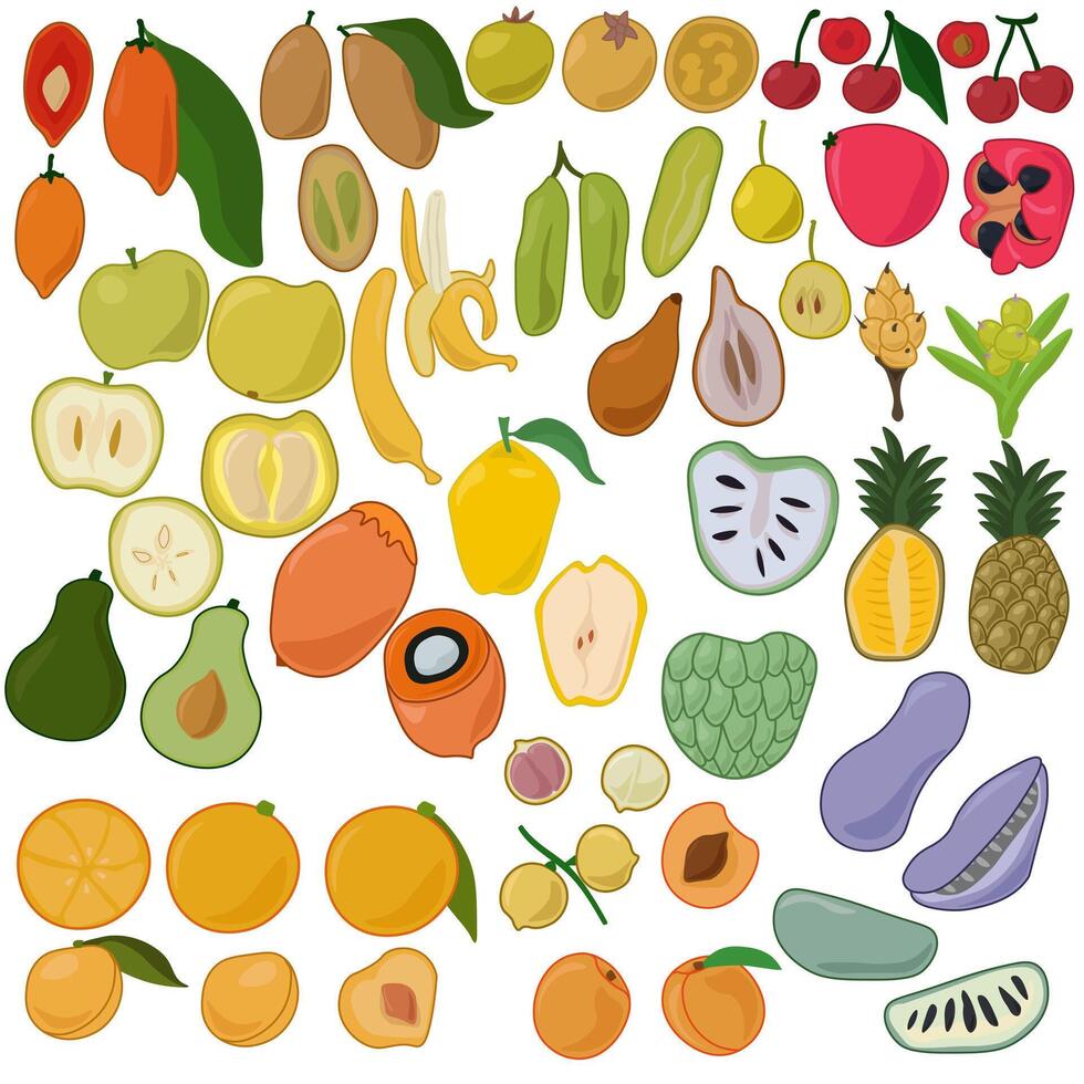 Set of various tropical fruits whole and halves in flat style vector