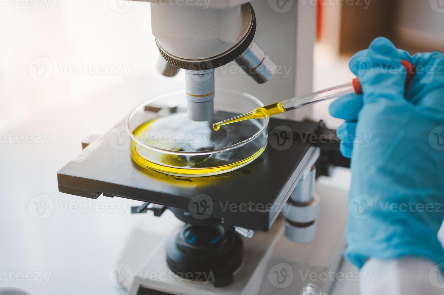 Female researchers are experimenting with pipette dropping a sample into a test tube in an experiment research in laboratory.. photo