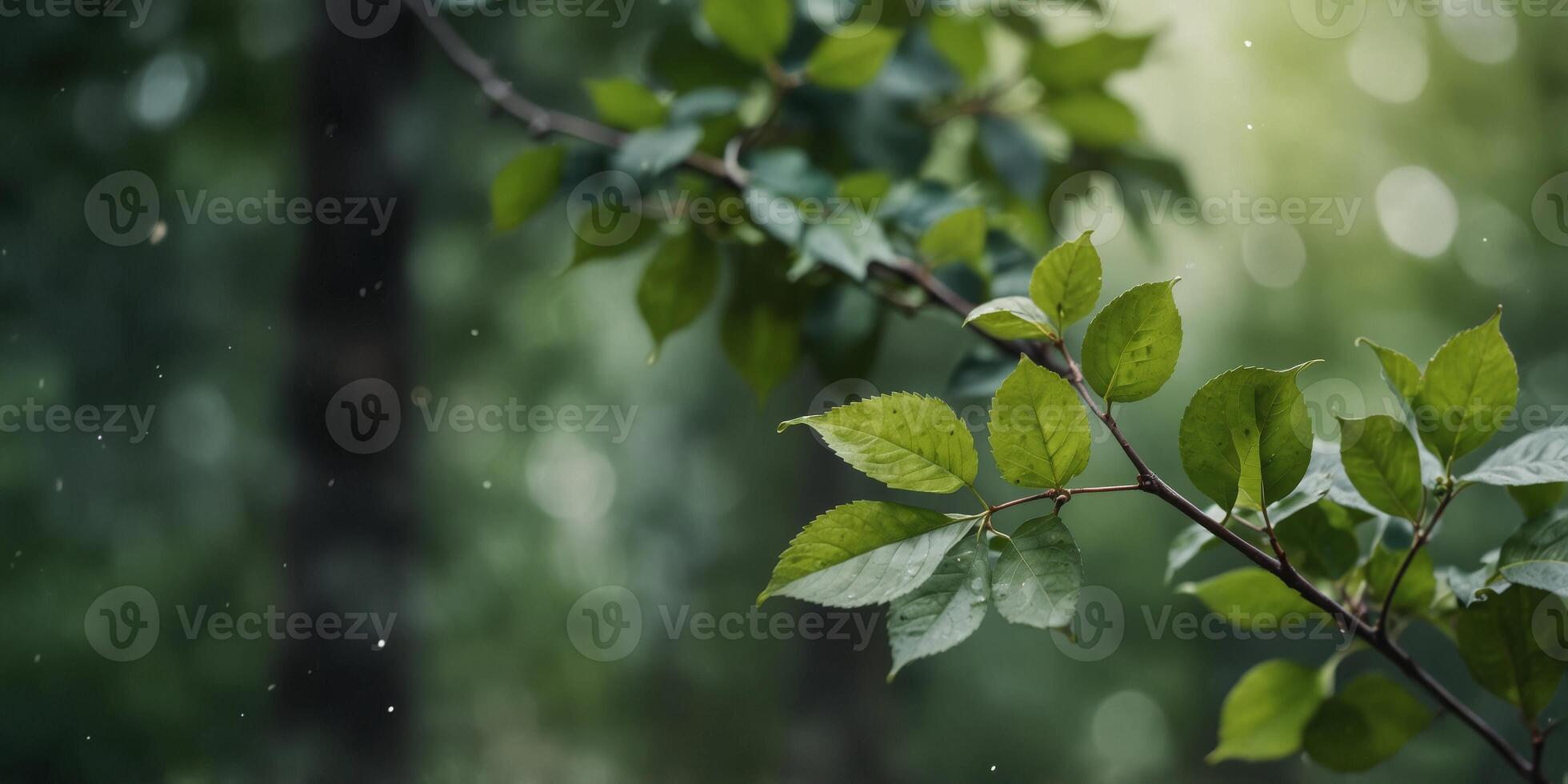 Serene green watercolor foliage background with artistic touches. photo