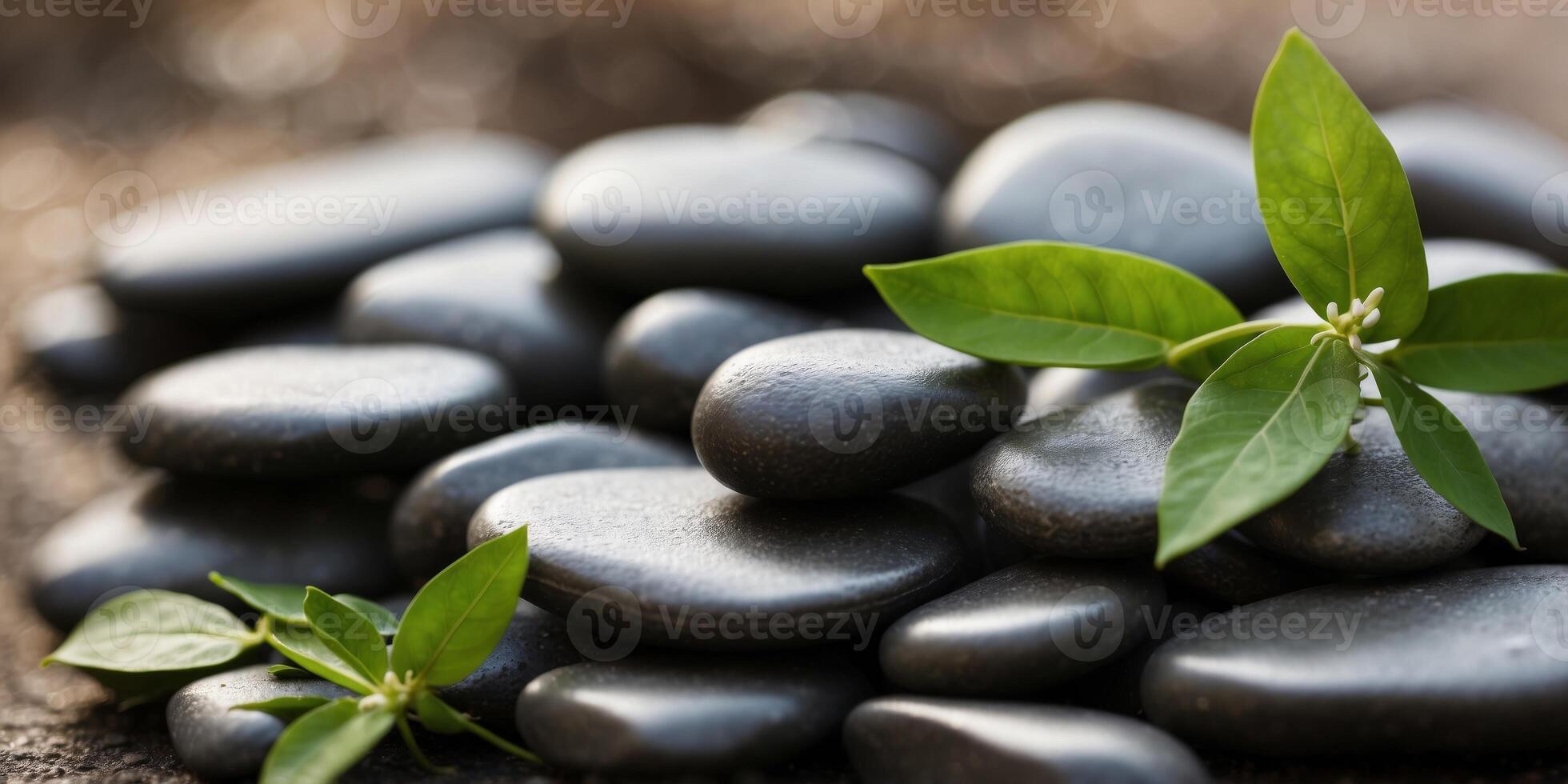 Serene spa composition with smooth stones and fresh green leaves. photo