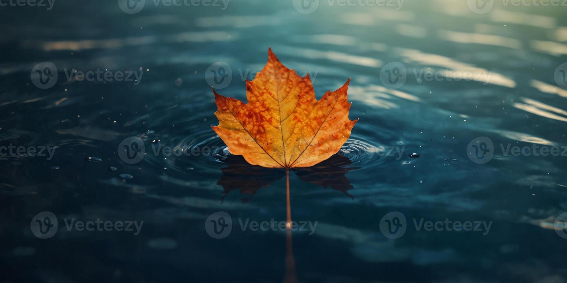 Single leaf floating on colorful water surface. photo