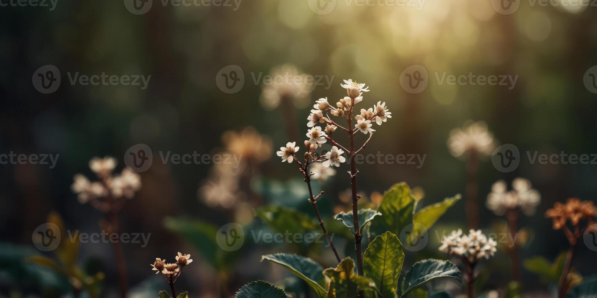 Abstract botanical image with earthy tones and organic shapes. photo