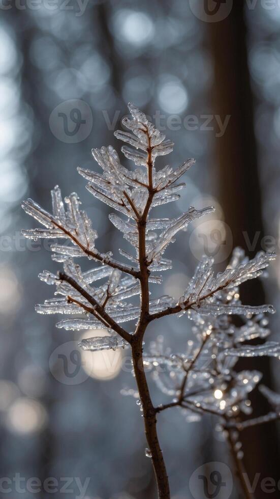 A forest where the trees are made of ice, their branches sparkling in the sunlight. photo