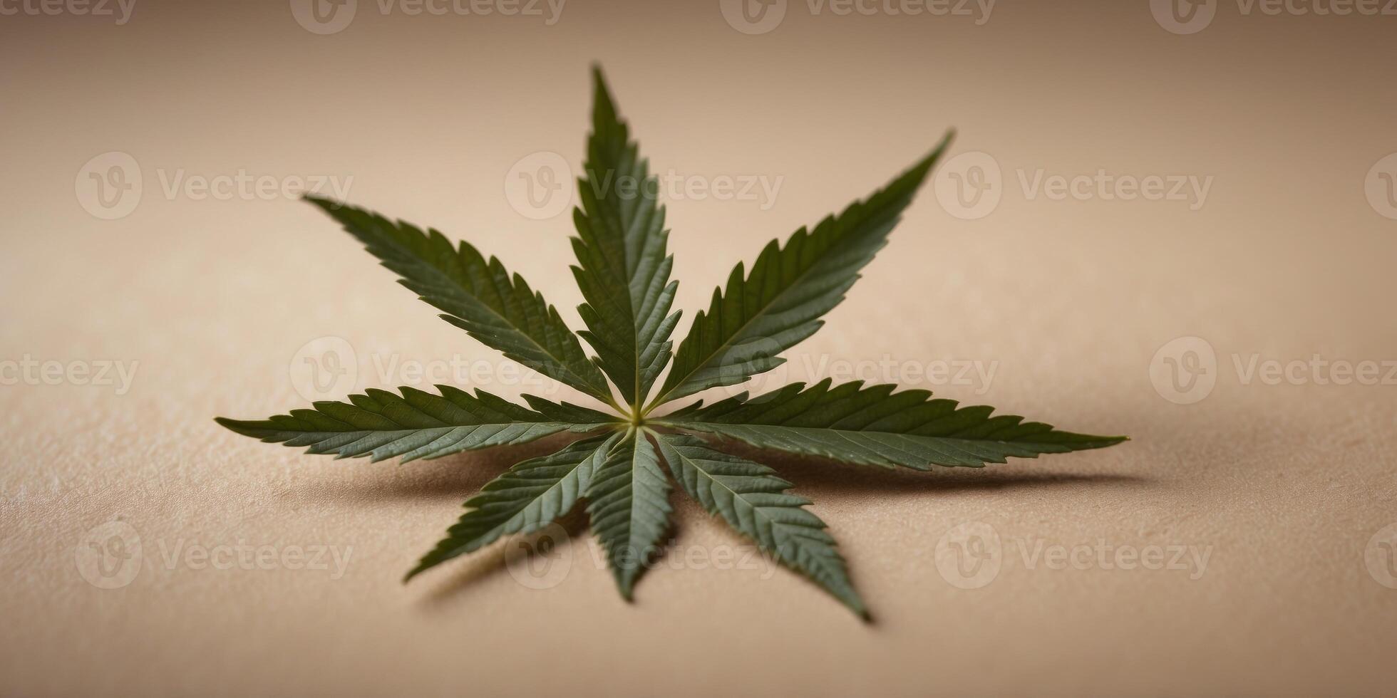 a marijuana leaf is laying on a beige background. photo