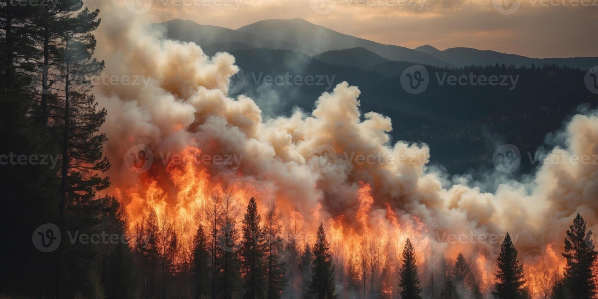 Massive clouds of smoke rising from a forest fire. photo